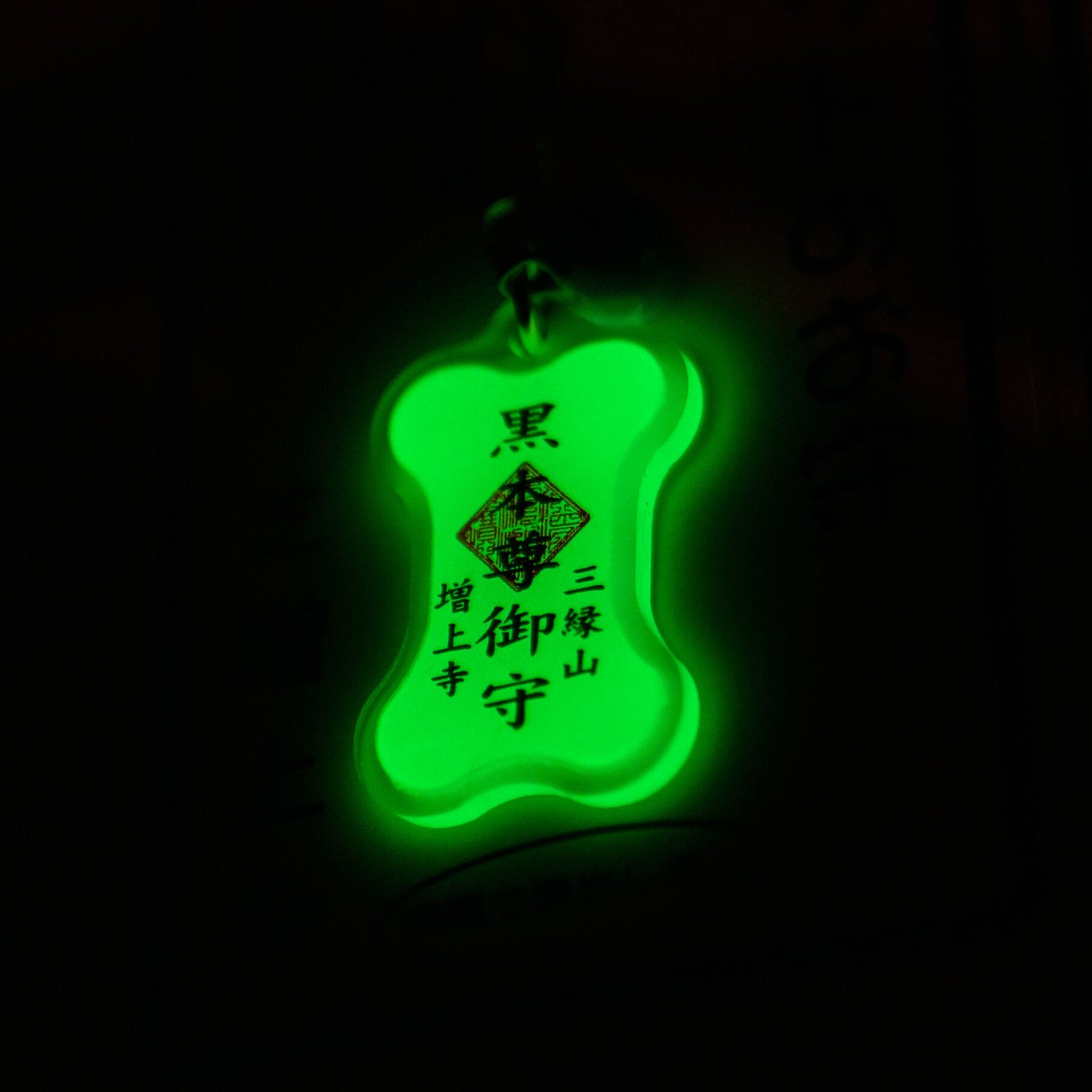 Pet Protection Charm, photo 5