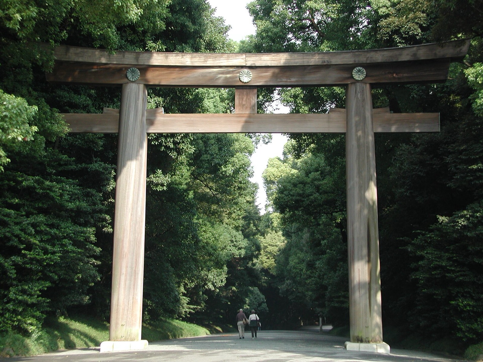 The great wooden torii gate of Meiji Jingu, surrounded by forest
